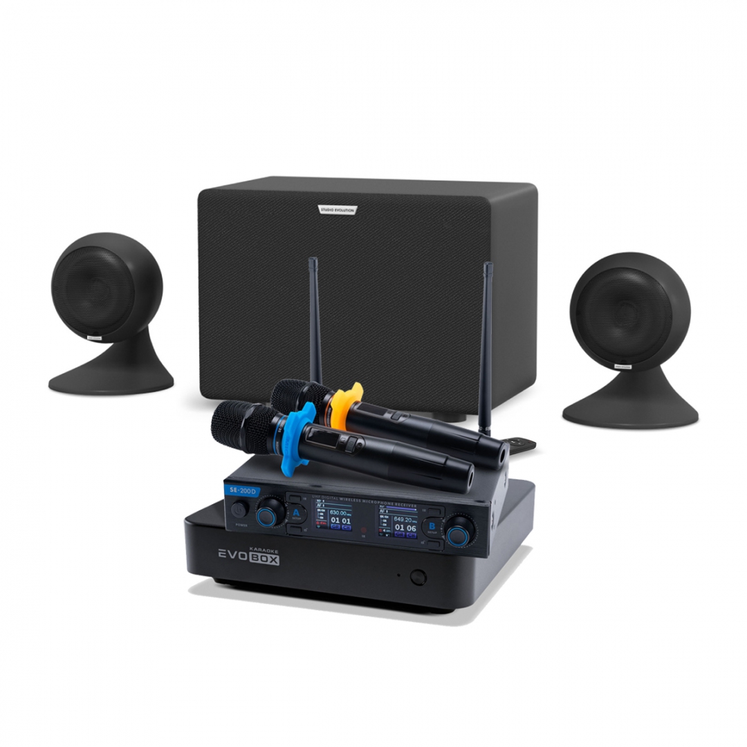 караоке-комплект EVOBOX + EvoSound Sphere 2.1 в Чкаловске