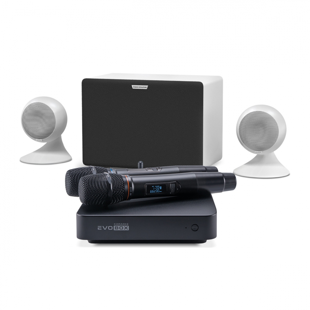 караоке-комплект EVOBOX Classic + EvoSound Sphere 2.1 в Чкаловске