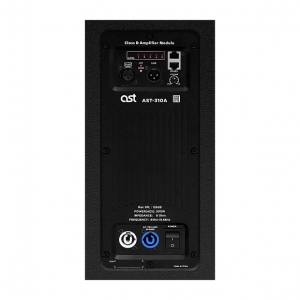 Активная акустическая система AST-310A в Чкаловске