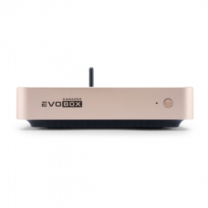 EVOBOX Plus караоке-система для дома в Чкаловске