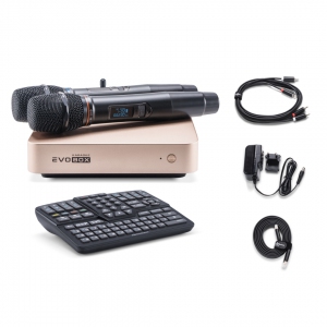 EVOBOX Plus караоке-система для дома в Чкаловске
